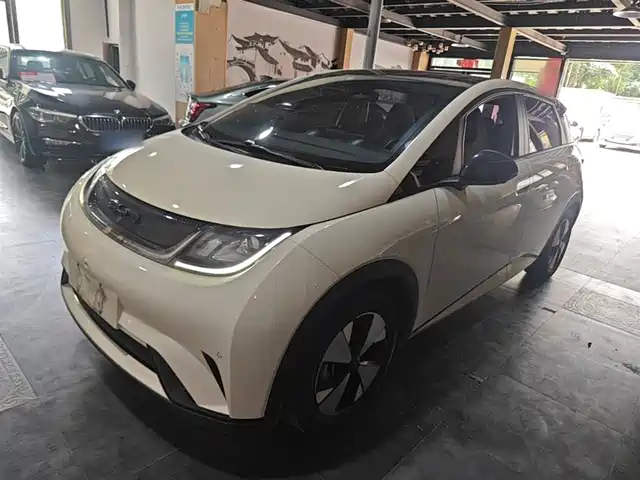 2023 BYD Dolphin