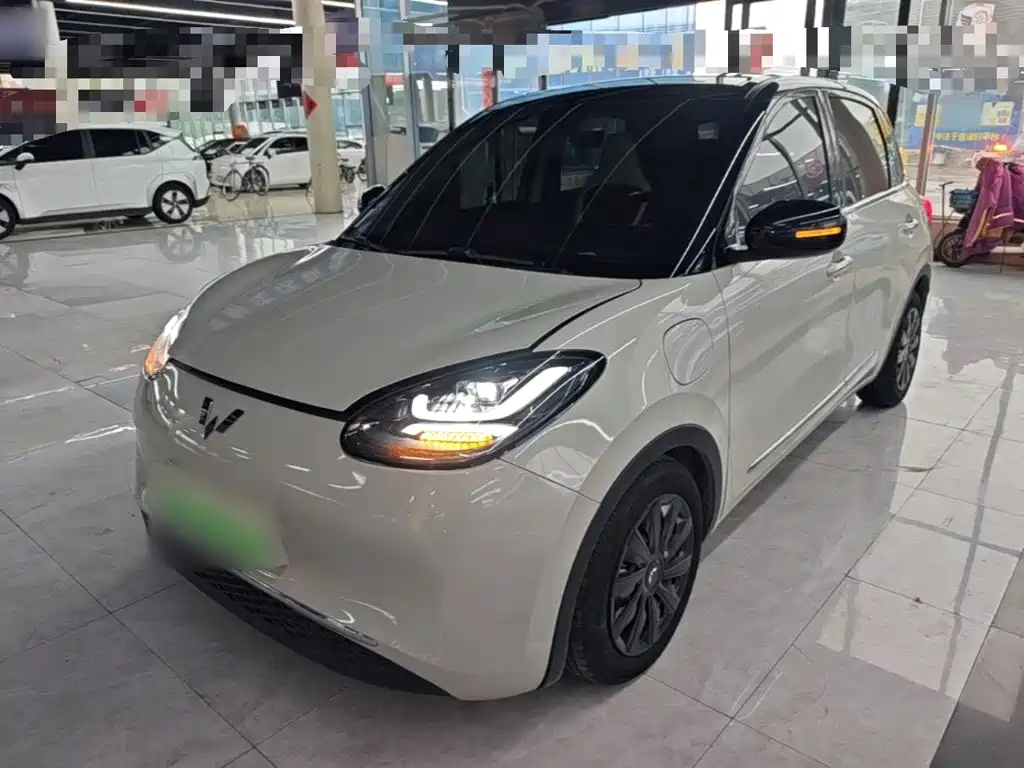 Wuling Bingo