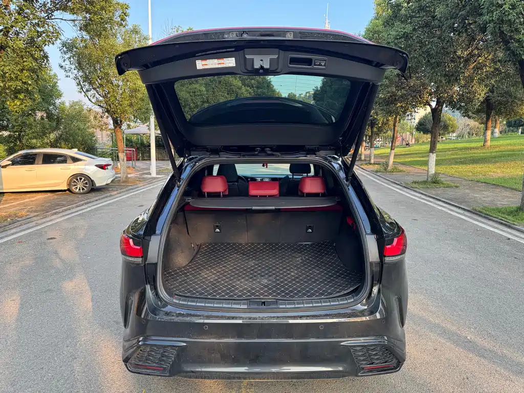 Lexus RX — миниатюра 9