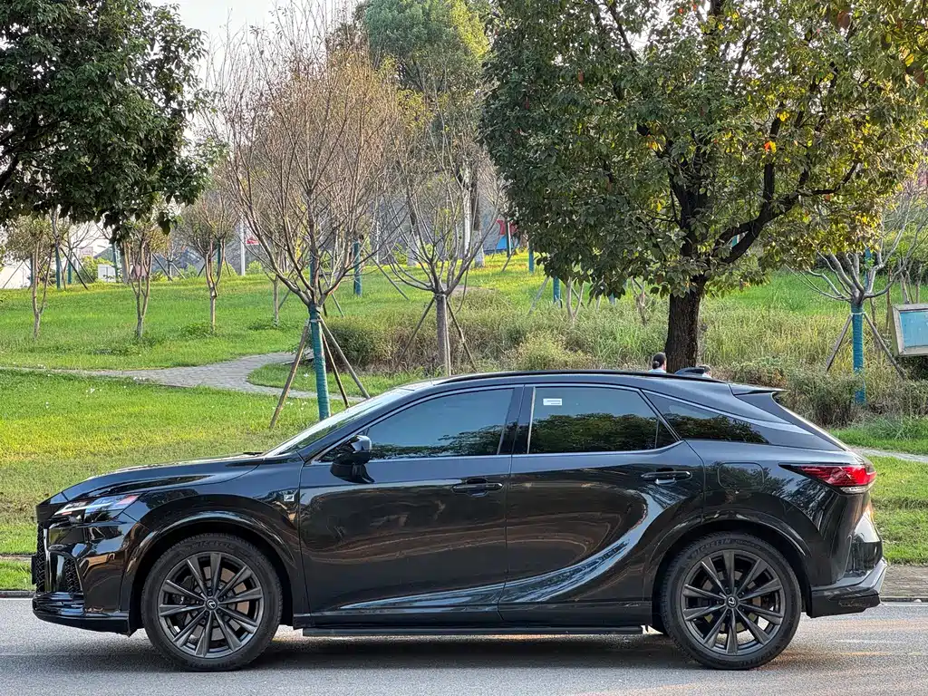 Lexus RX — миниатюра 7