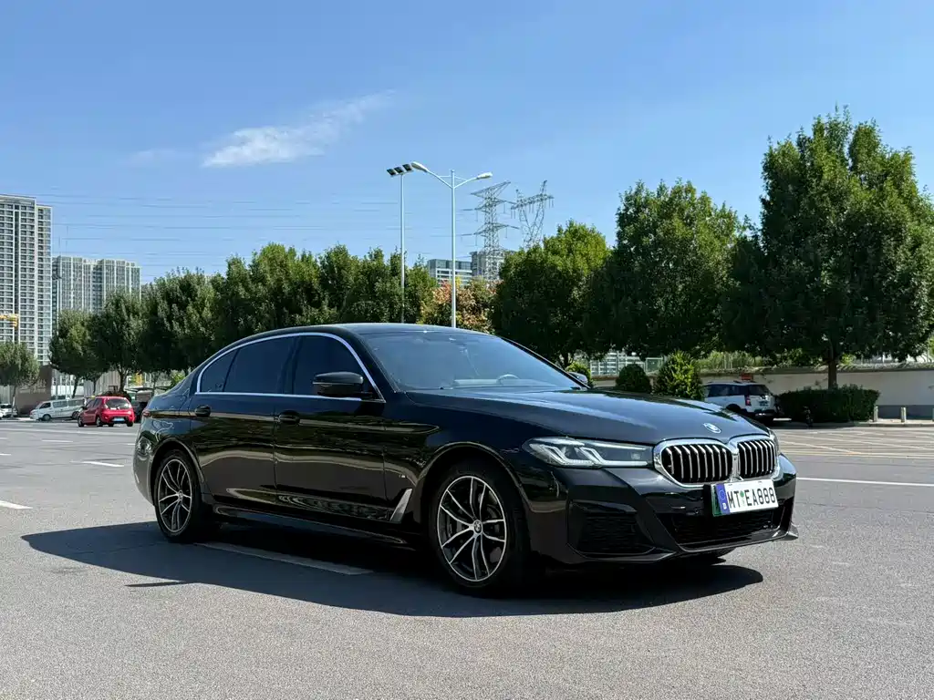 BMW 5 Series New Energy — миниатюра 3