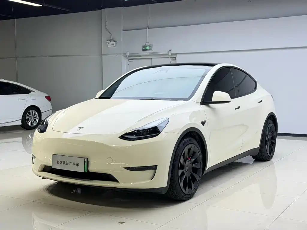 Tesla Model Y — миниатюра 7