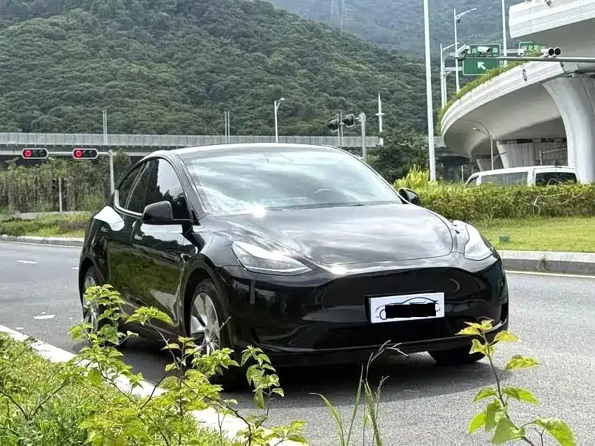 Tesla Model Y — миниатюра 3