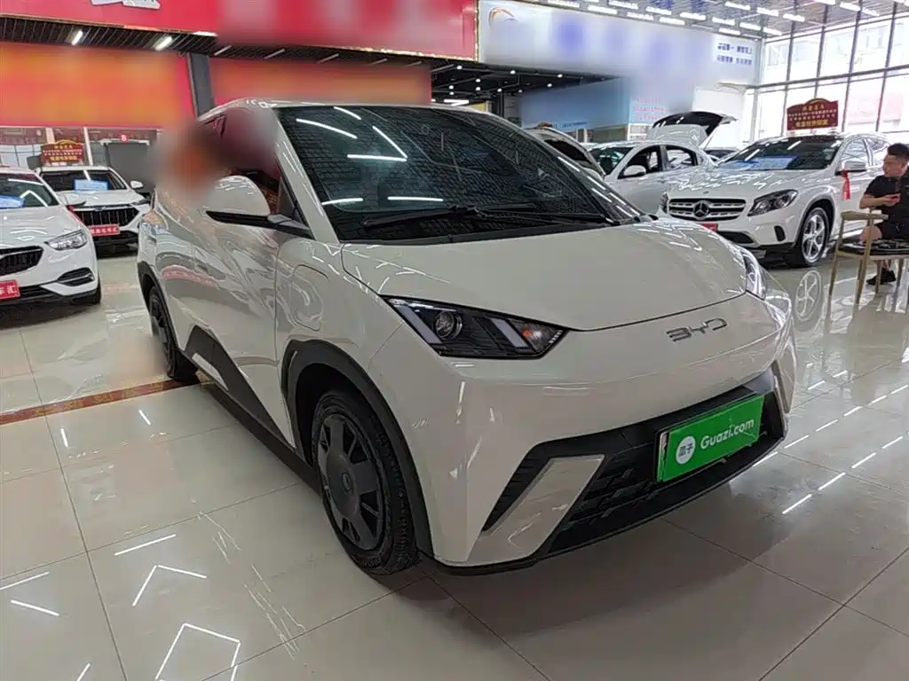BYD Seagull