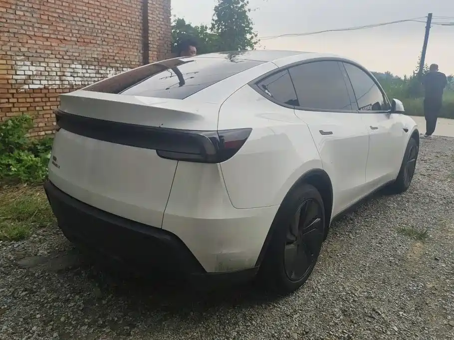 Tesla Model Y — миниатюра 3