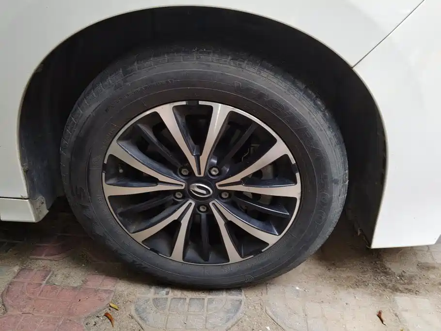 GAC Motor Trumpchi M8 — миниатюра 6