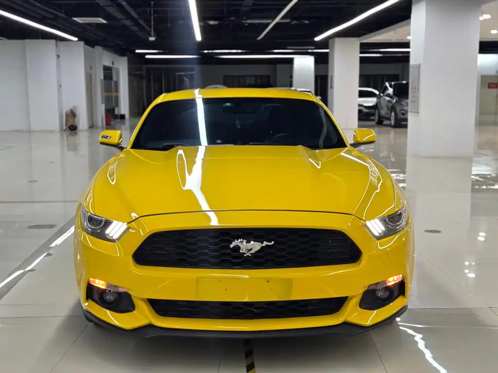 Ford Mustang — миниатюра 2