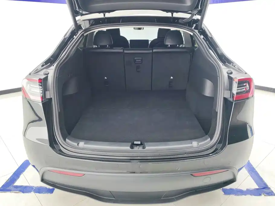 Tesla Model Y — миниатюра 4