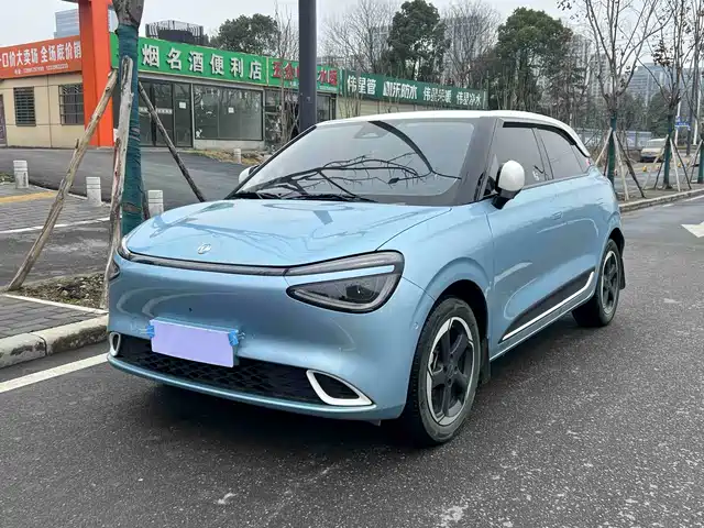 DONGFENG NANO 01 2024