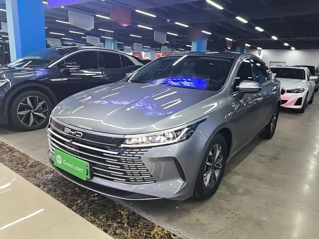 BYD Destroyer 05 2023 Champion DM-i 55KM Luxury