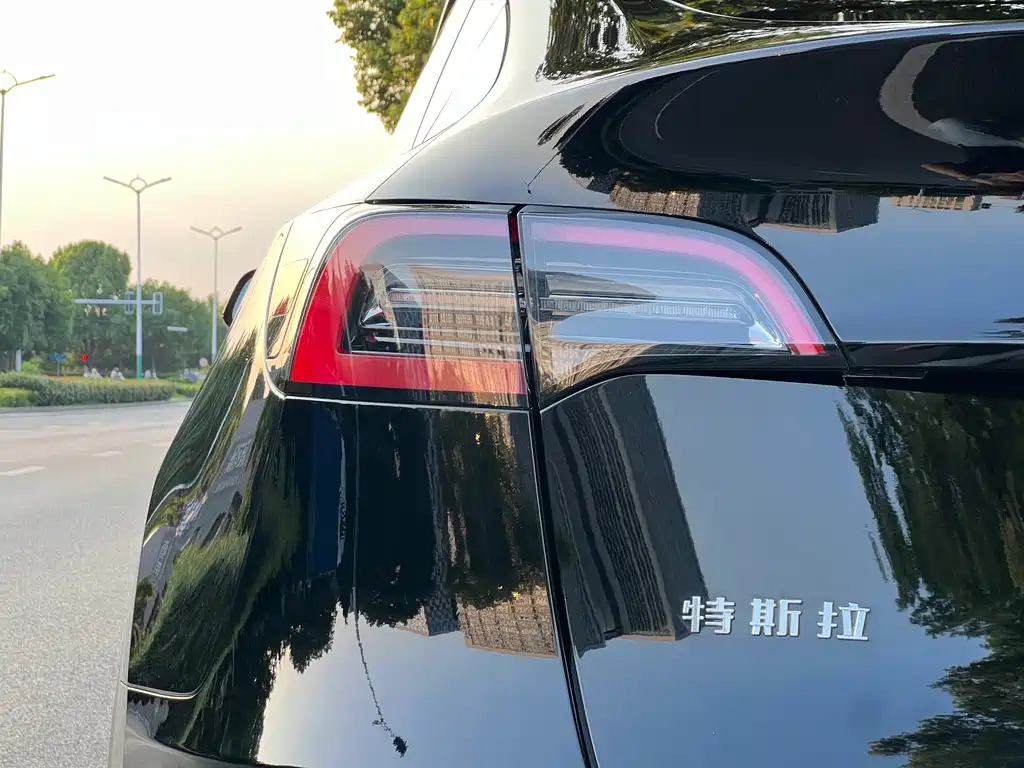 Tesla Model Y — миниатюра 7