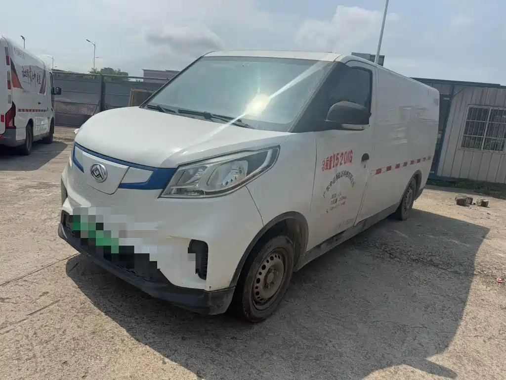 MAXUS EV30