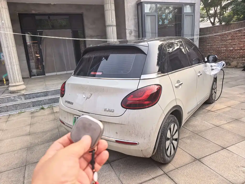 Wuling Binguo 2025 333km Enjoy