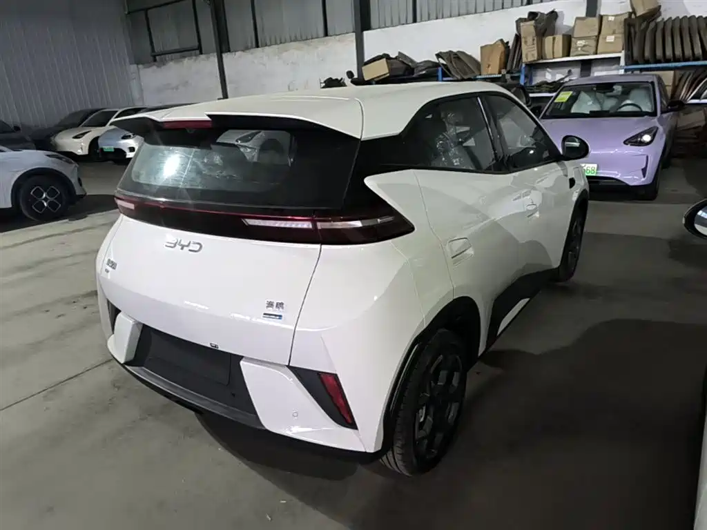 BYD Seagull 2025 Smart Drive 305km Freedom