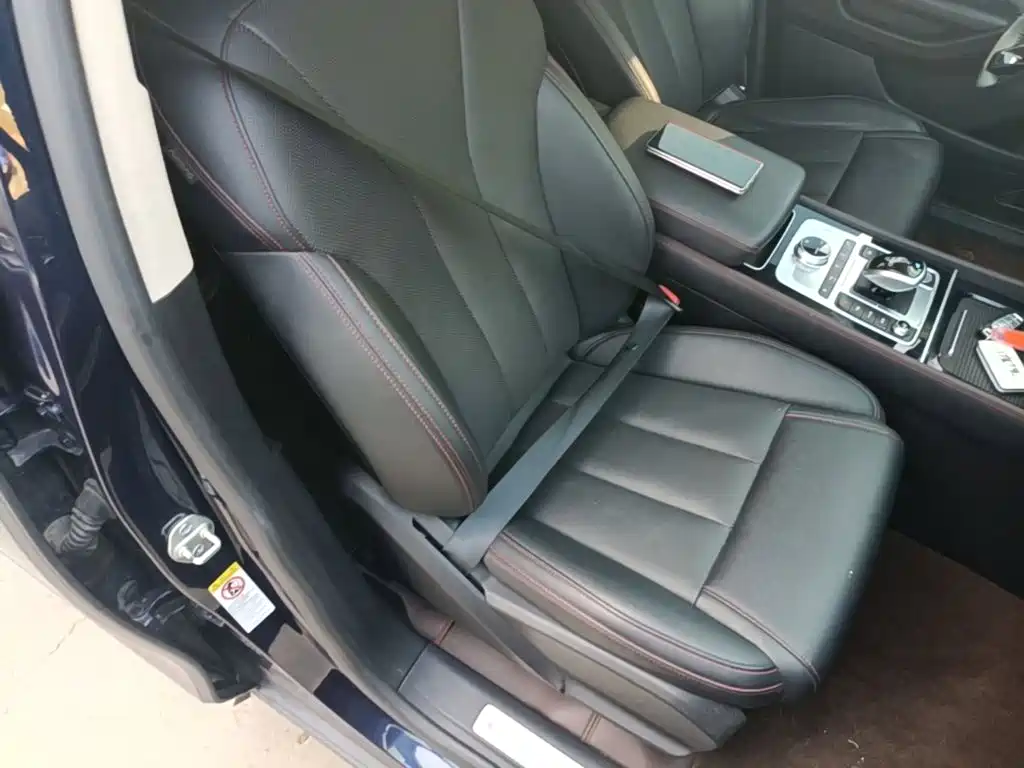 BYD Tang New Energy — миниатюра 25
