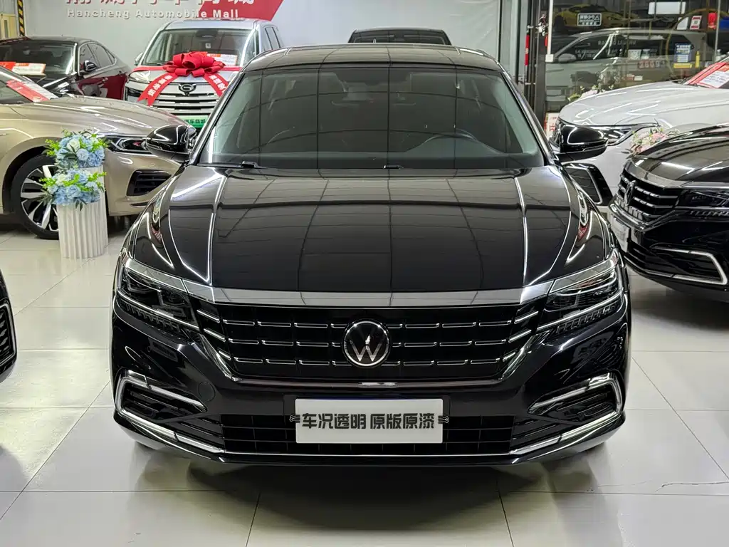 Volkswagen Passat — миниатюра 2