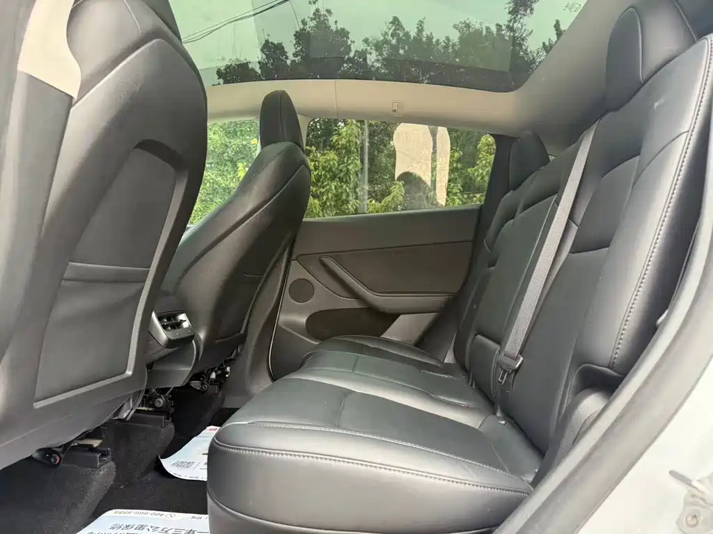 Tesla Model Y — миниатюра 11