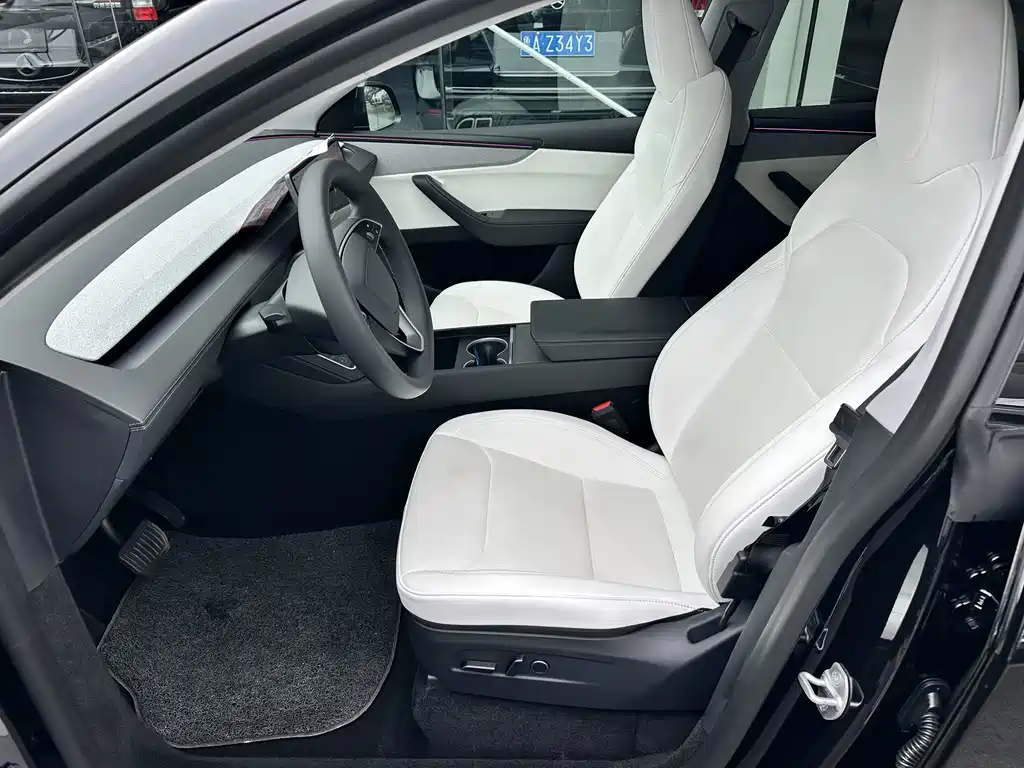 Tesla Model Y — миниатюра 3