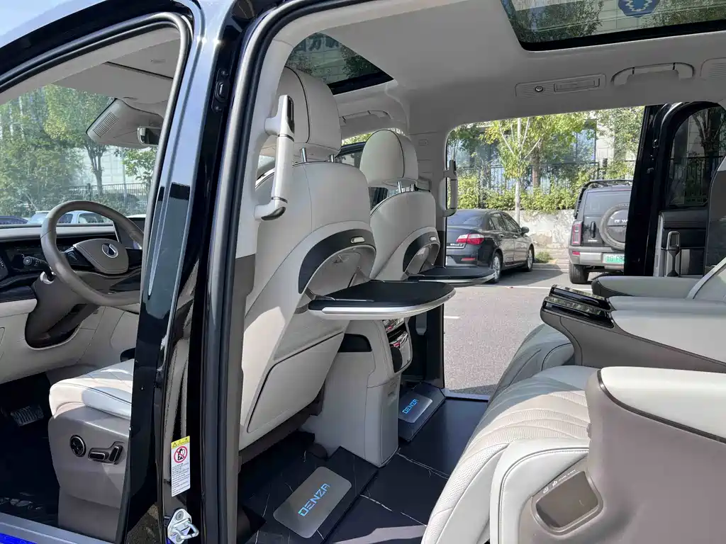 Denza Denza D9 — миниатюра 4