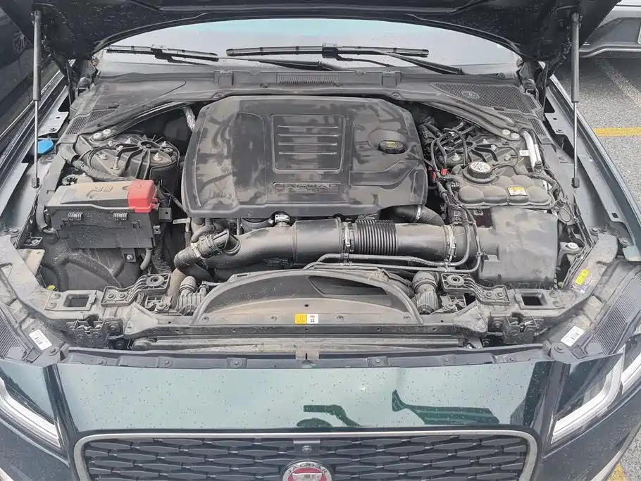 Jaguar XFL 2025 2.0T P250 Premium Luxury