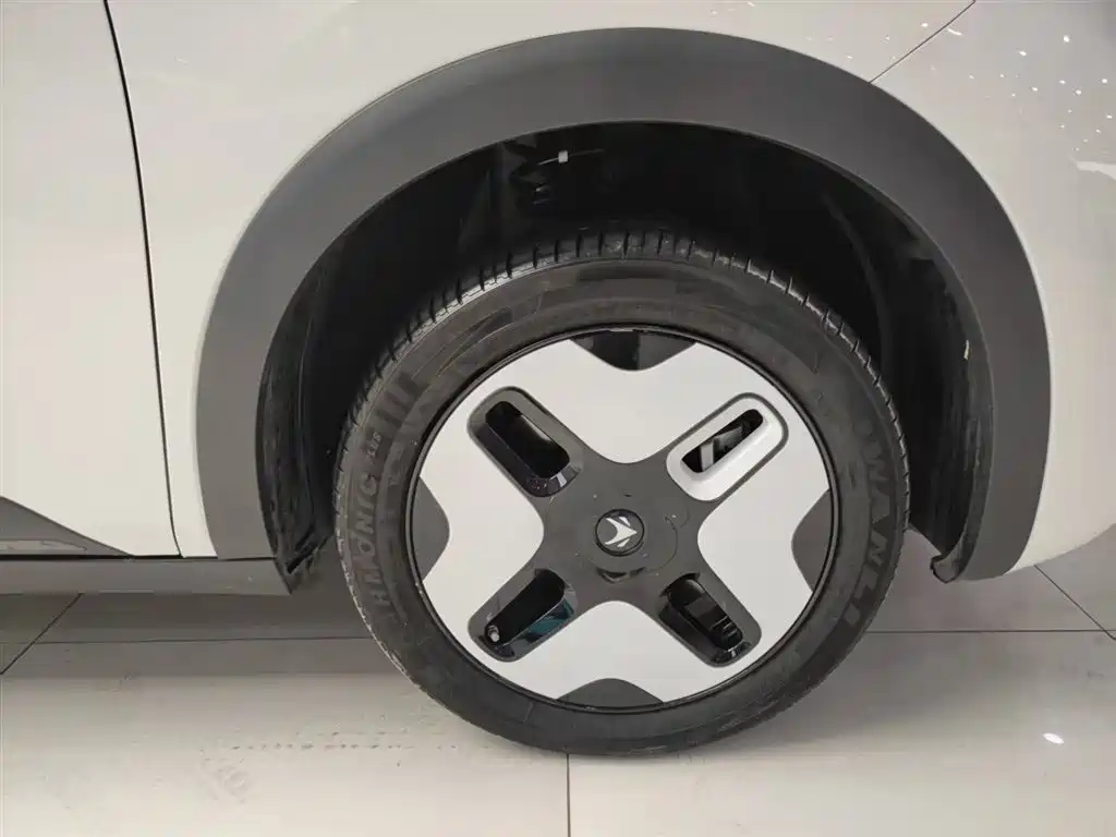 ARCFOX EXTREME FOX POLAR FOX KOALA S