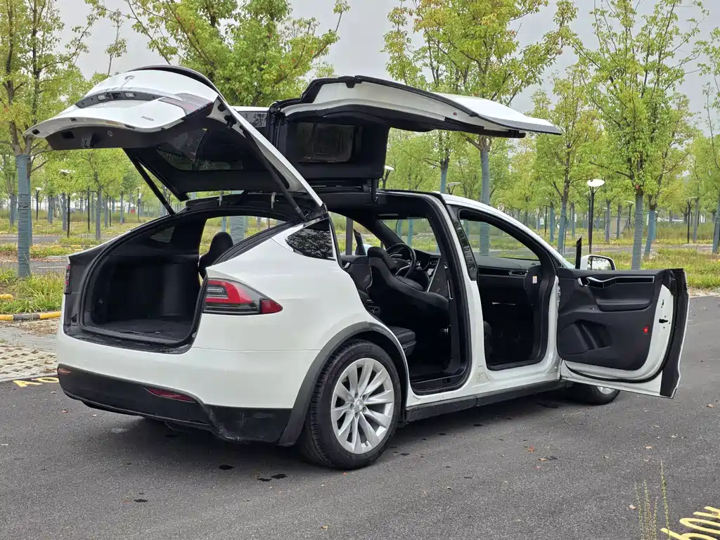 Tesla Model X — миниатюра 20