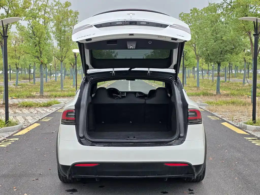 Tesla Model X — миниатюра 28