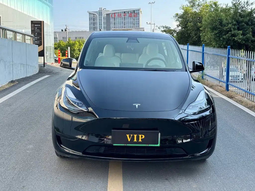 Tesla Model Y — миниатюра 2