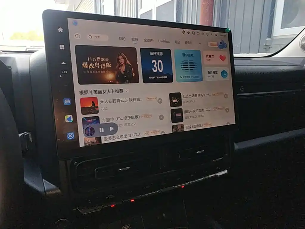 Haval Menglong New Energy — миниатюра 13