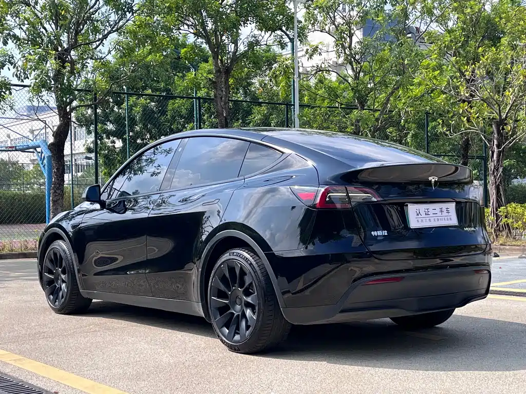 Tesla Model Y — миниатюра 9