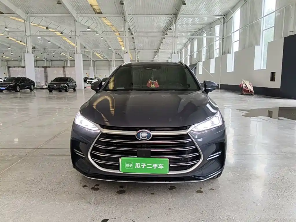 BYD Tang New Energy — миниатюра 3
