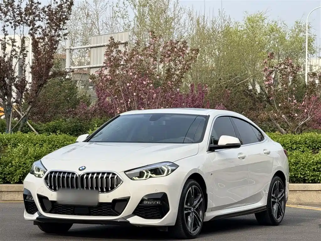 BMW 2 Series (Import) 2021