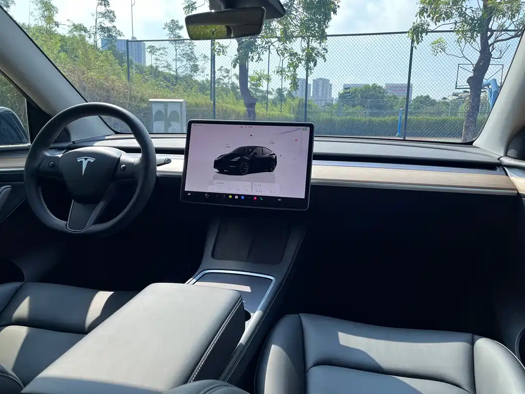 Tesla Model Y — миниатюра 6
