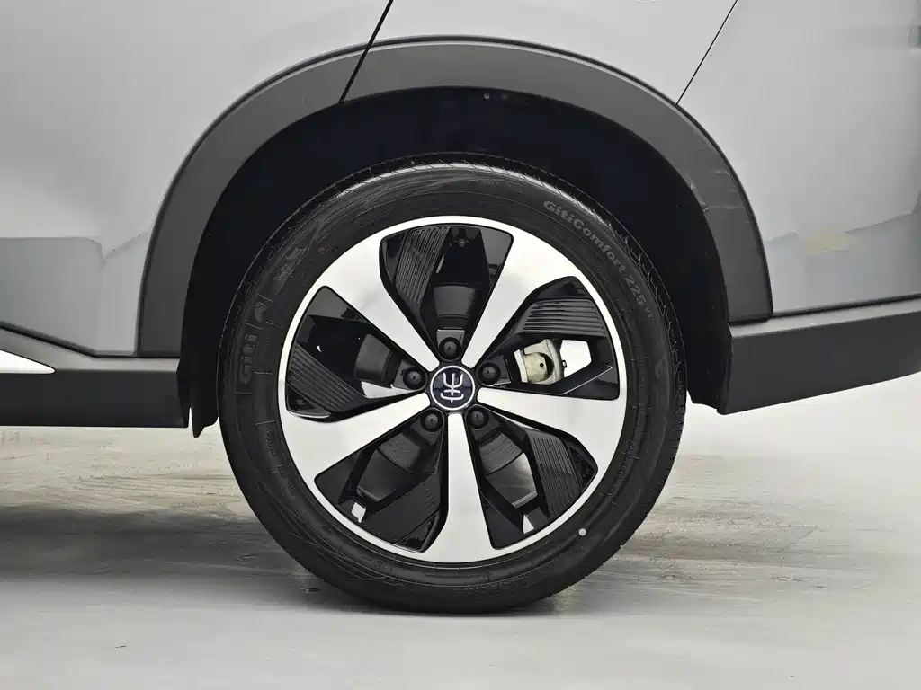 BYD SONGJIANG NEW ENERGY