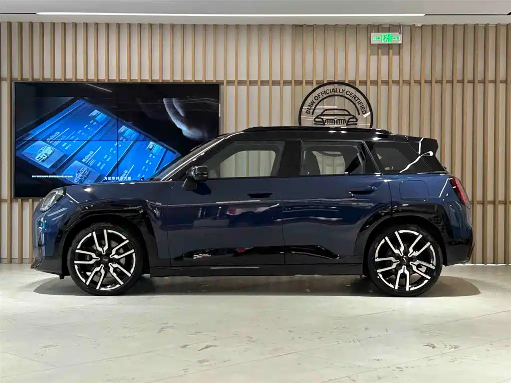 MINI ELECTRIC  ACEMAN