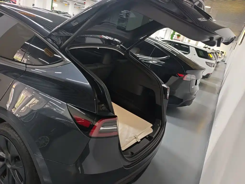 Tesla Model Y — миниатюра 19