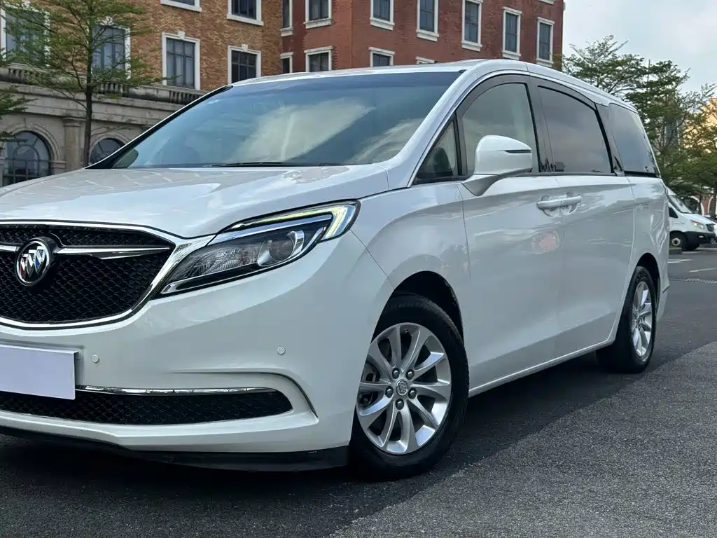 Buick GL8 — миниатюра 17
