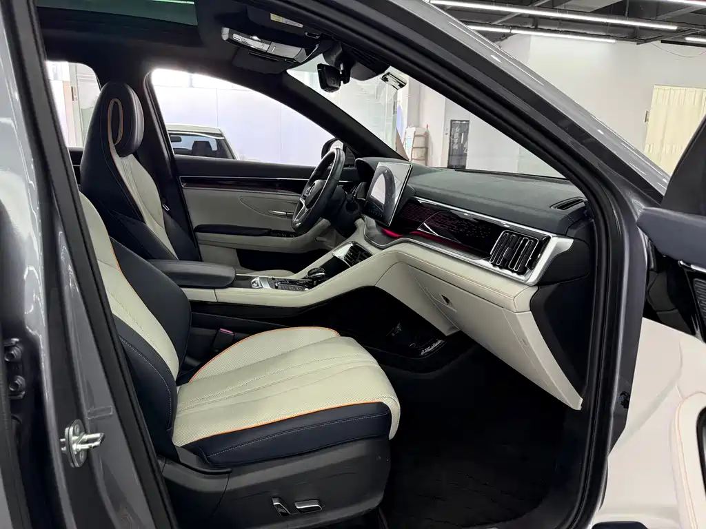 BYD PLUS New Energy — миниатюра 8