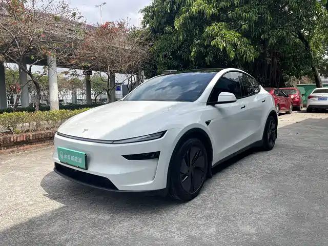 TESLA MODEL Y 2025