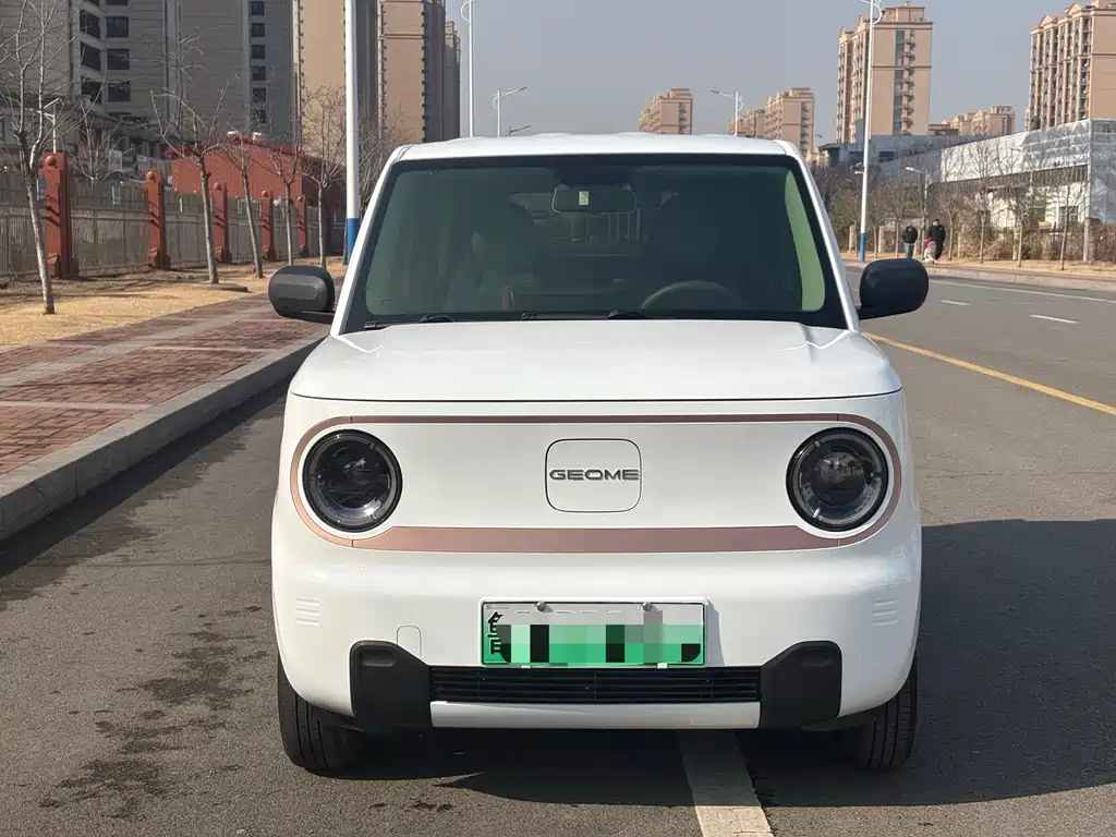GEELY GALAXY PANDA