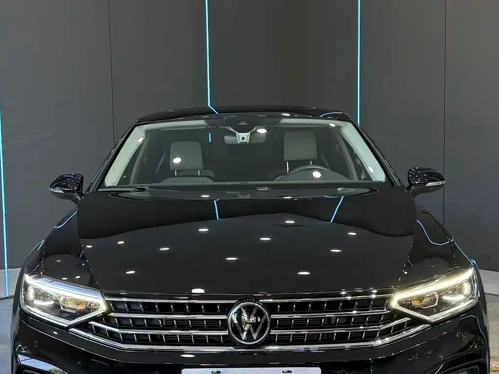 Volkswagen Magotan — миниатюра 2