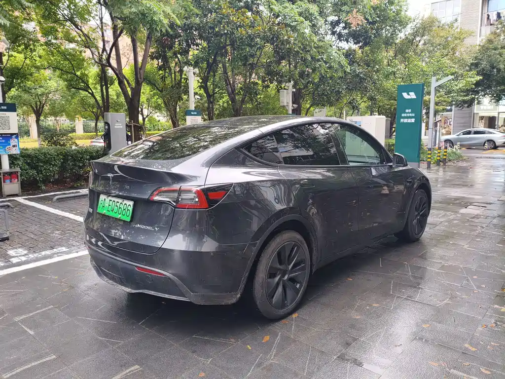 Tesla Model Y — миниатюра 8