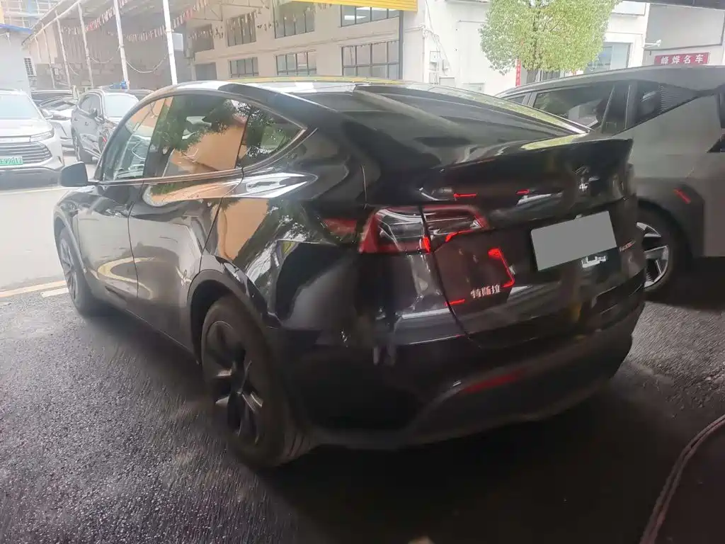 Tesla Model Y — миниатюра 10