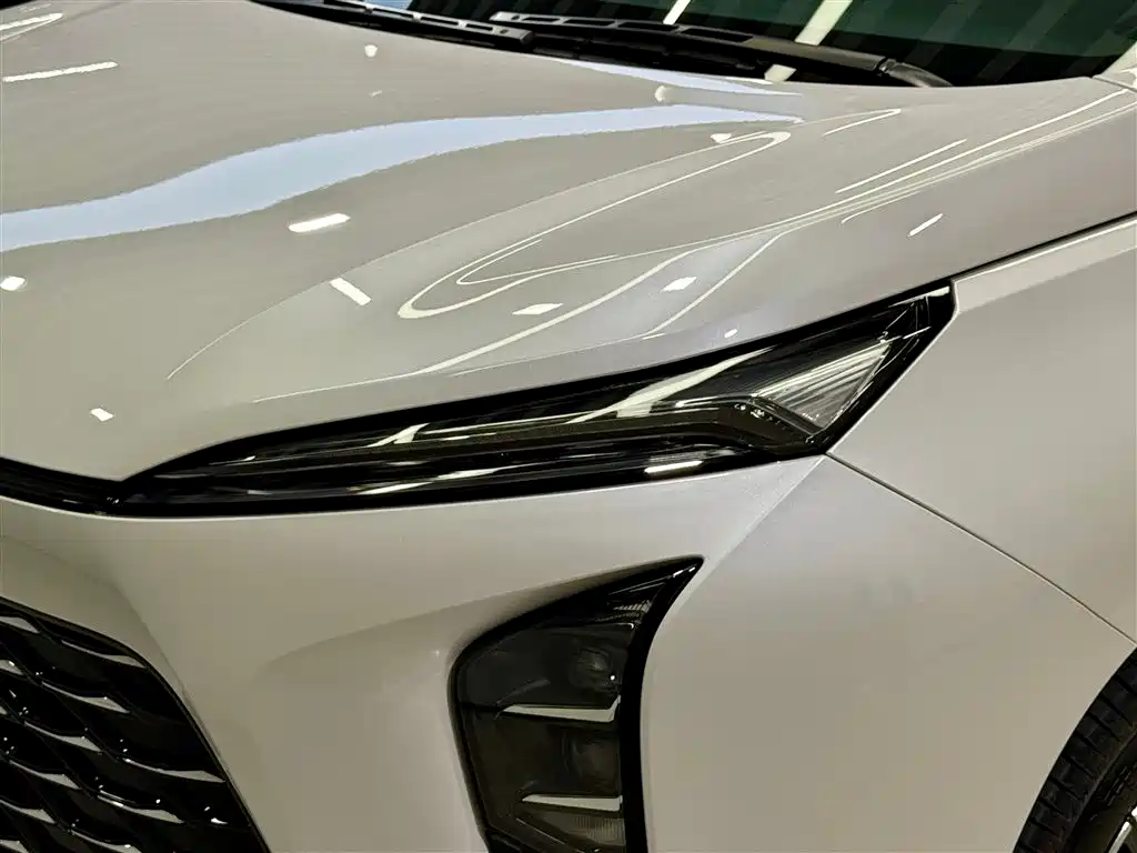 BUICK GL8 NEW ENERGY