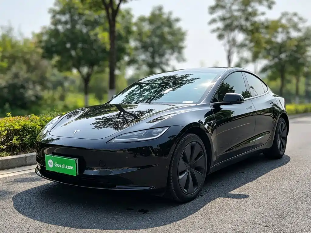 Tesla Model 3 — миниатюра 2