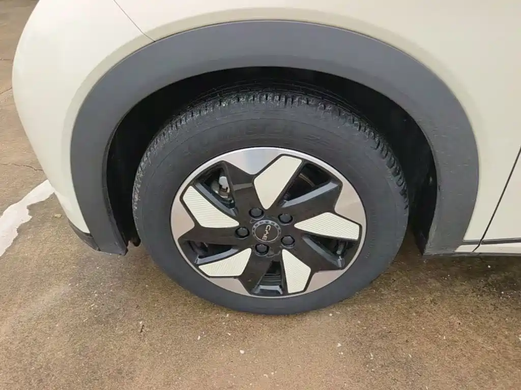 BYD Dolphin — миниатюра 23