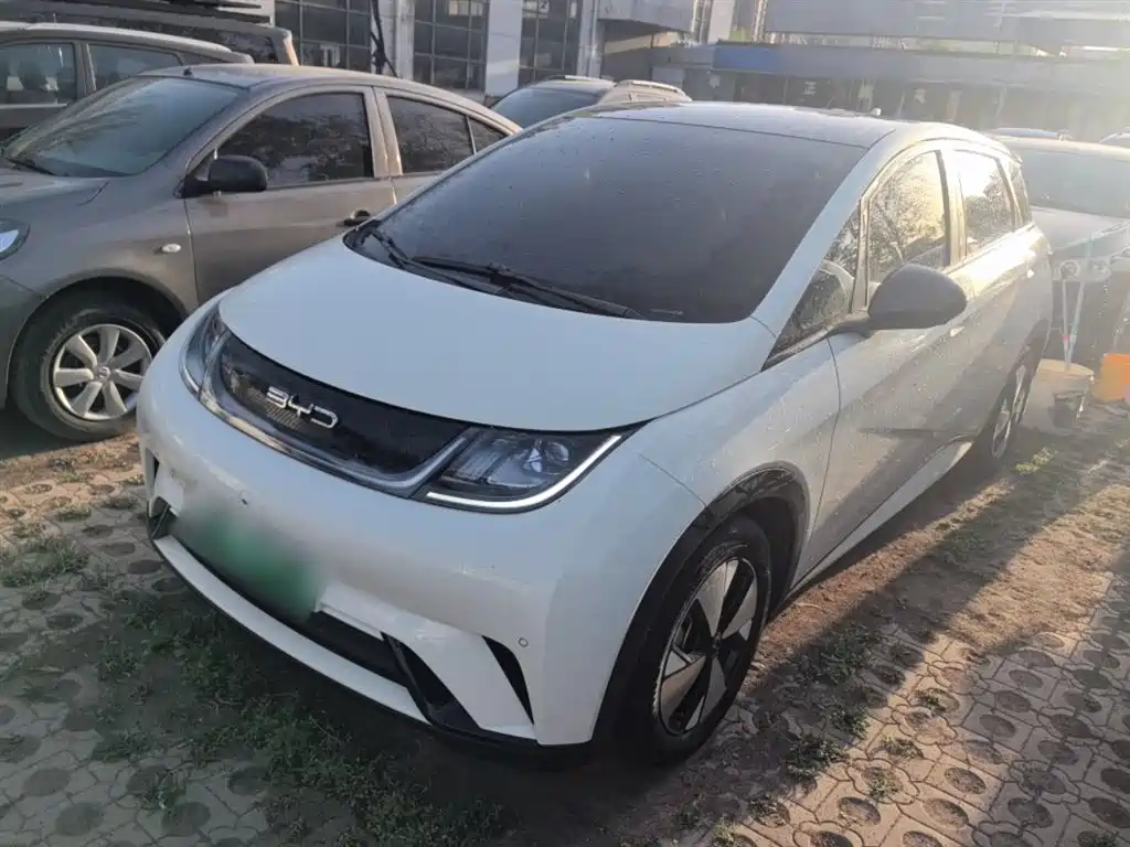 Byd Dolphin 2023