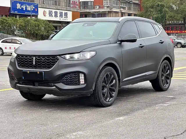 WEI PAI WEI BRAND VV6 2018