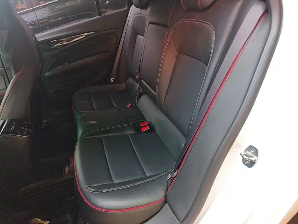 Buick Regal — миниатюра 18