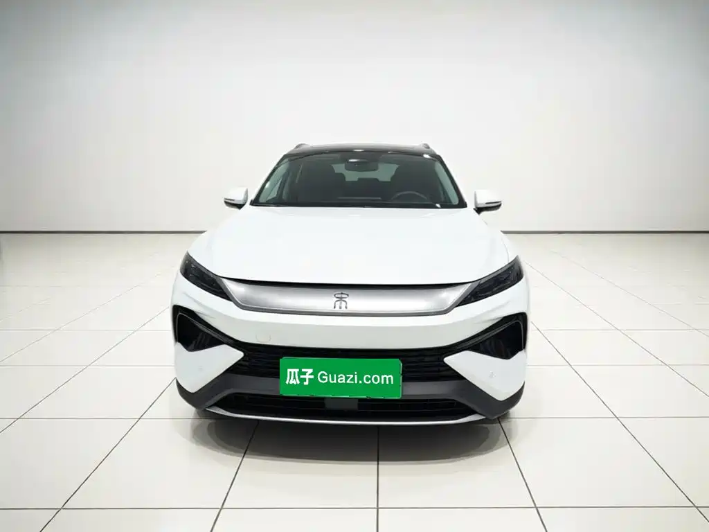 BYD Pro New Energy — миниатюра 2